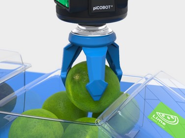 https://www.piab.com/ja-JP/news/press-releases/piab-is-stepping-up-automation-in-the-food-industry-introducing-a-new-vacuum-driven-soft-gripper/より引用